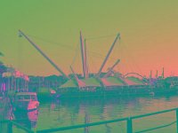 IMGP2585 edited (Medium)